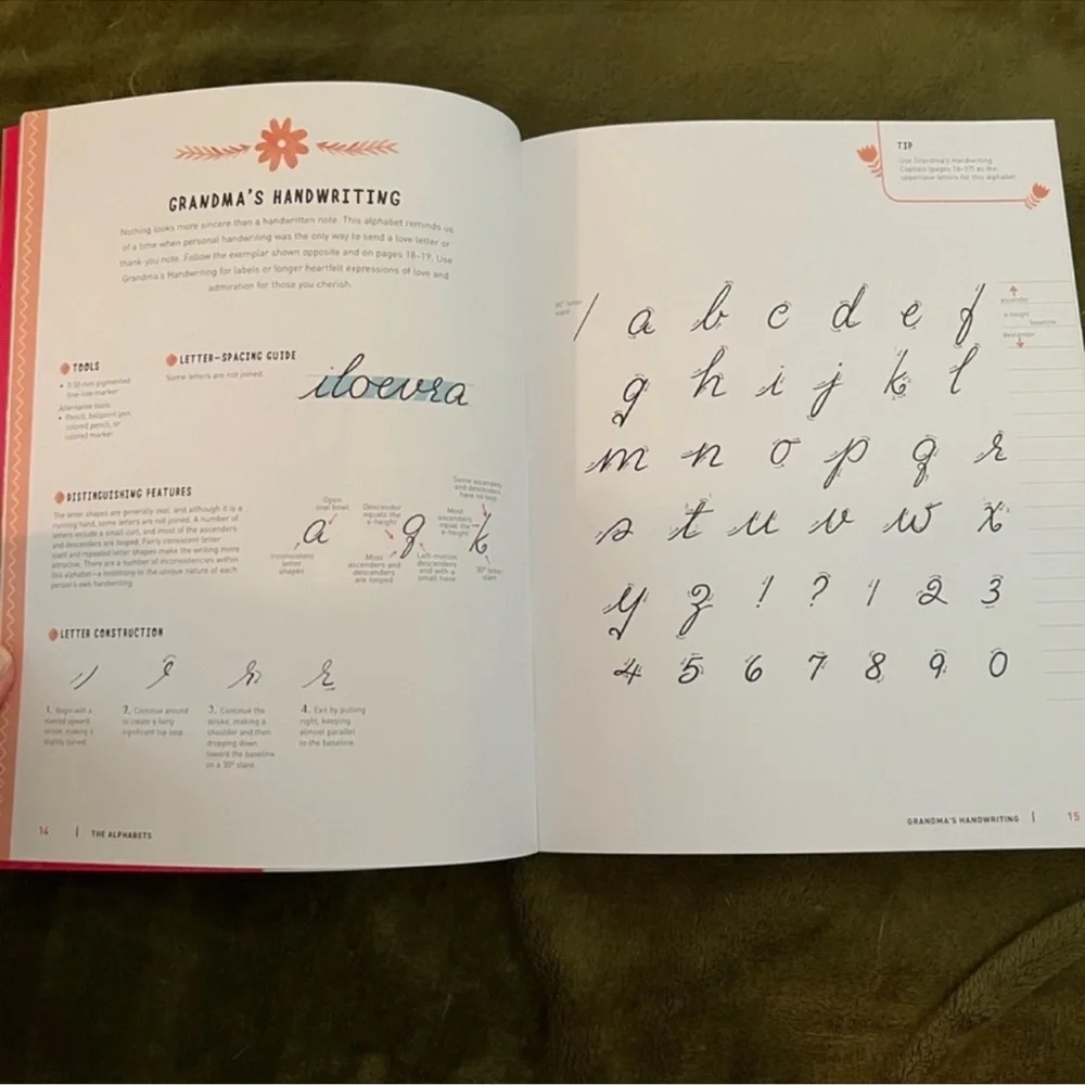 🌻5 for $25🌻 New The Art of Calligraphy book by Ruth Booth